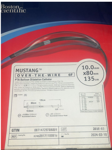 Mustang Balloon